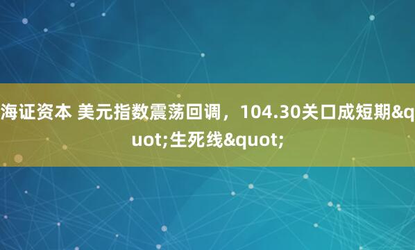海证资本 美元指数震荡回调，104.30关口成短期&quot;生死线&quot;