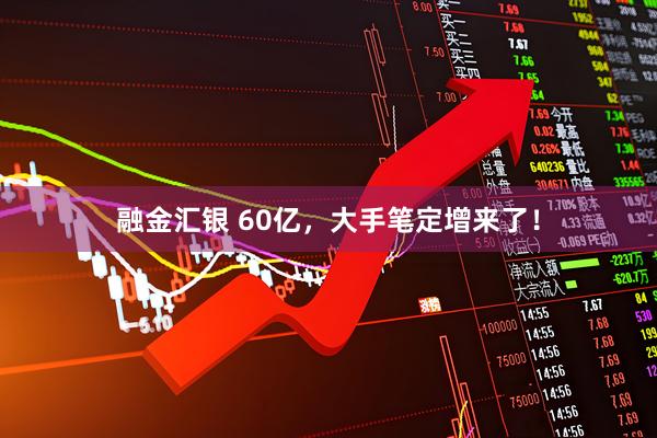 融金汇银 60亿，大手笔定增来了！