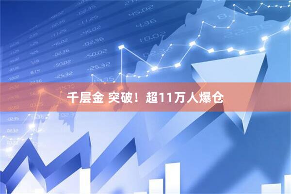 千层金 突破！超11万人爆仓