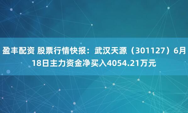 盈丰配资 股票行情快报：武汉天源（301127）6月18日主力资金净买入4054.21万元