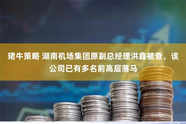 珺牛策略 湖南机场集团原副总经理洪鑫被查，该公司已有多名前高层落马