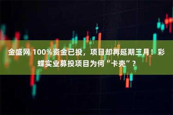 金盛网 100%资金已投，项目却再延期三月！彩蝶实业募投项目为何“卡壳”？